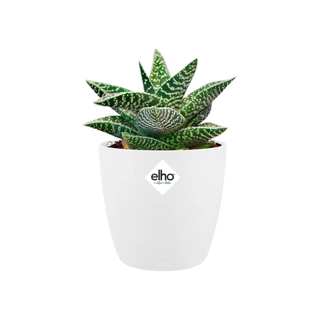 Elho brussels rond mini 9,5cm wit - afbeelding 2