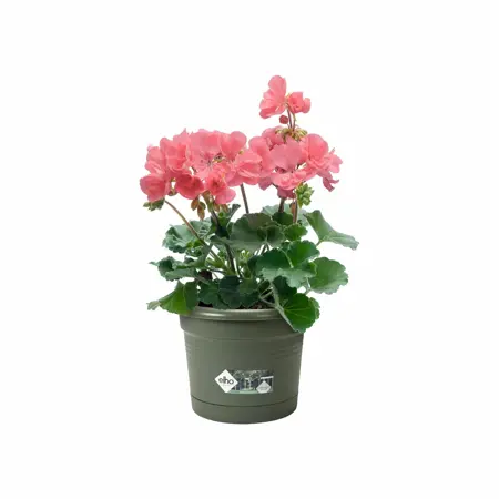 Elho green basics balkon potholder all-in-1 - afbeelding 3