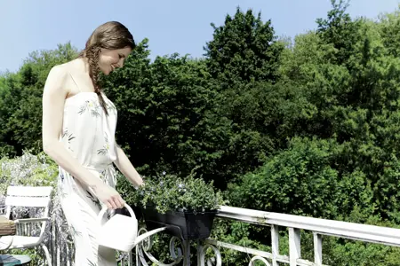 Elho green basics balkonbak allin1 70cm - afbeelding 2