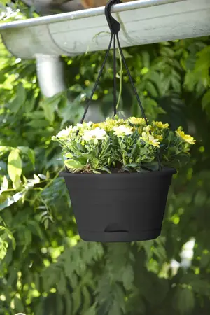 Elho green basics hangschaal 28cm living black - afbeelding 4