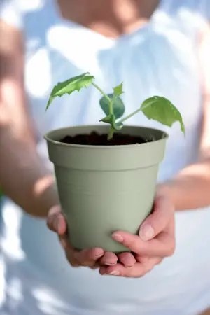 Elho Green Basics Kweekpot 13 Groen - afbeelding 3