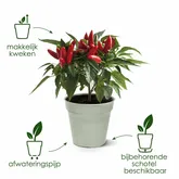 Elho green basics kweekpot 13cm steengroen - afbeelding 3