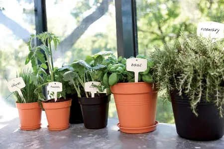 Elho green basics kweekpot 19cm living black - afbeelding 5
