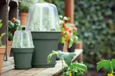 Elho green basics kweekpot 27cm blad groen - afbeelding 5