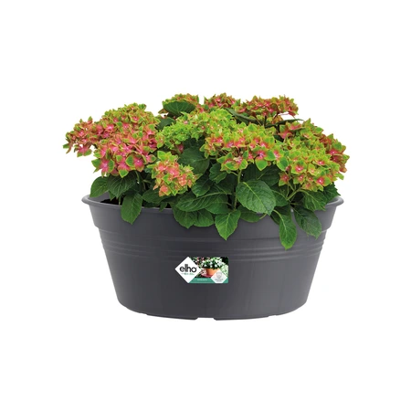 Elho green basics schaal 33cm living black - afbeelding 2