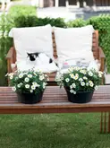 Elho green basics schaal 33cm living black - afbeelding 4