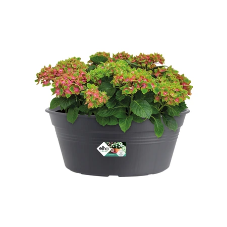 Elho green basics schaal 33cm living black - afbeelding 5