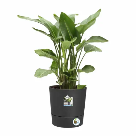 Elho Bloempot Greensense Aqua Care rond 43cm grijs - afbeelding 2