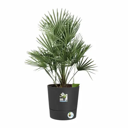 Elho Bloempot Greensense Aqua Care rond 43cm grijs - afbeelding 3