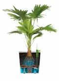 Elho Bloempot Greensense Aqua Care vierkant 30cm grijs - afbeelding 5