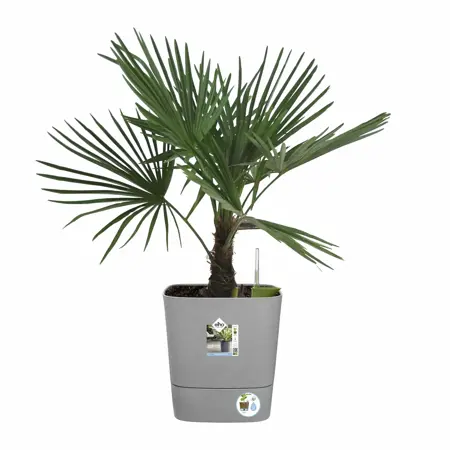 Elho Bloempot Greensense Aqua Care vierkant 38cm grijs - afbeelding 3