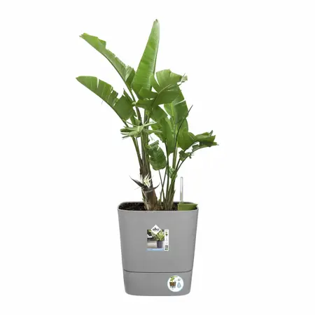 Elho Bloempot Greensense Aqua Care vierkant 38cm grijs - afbeelding 5