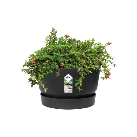 Elho greenville bowl 33cm living black - afbeelding 2