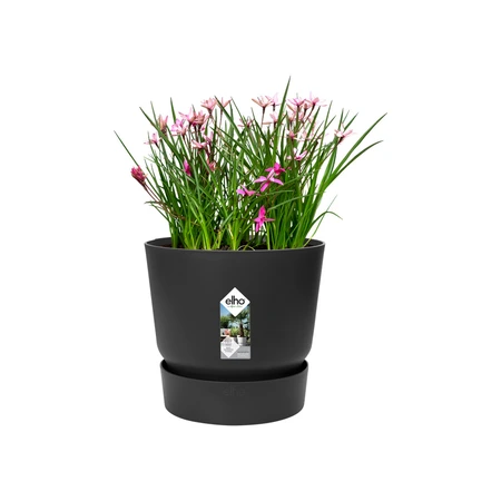 Elho greenville round 25cm living black - afbeelding 2