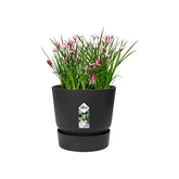 Elho greenville round 25cm living black - afbeelding 2