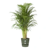 Elho greenville round 40cm blad groen - afbeelding 2