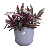 Elho jazz rond 14cm lavendel lila - afbeelding 2