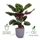 Elho jazz rond 14cm zijdewit - afbeelding 3