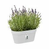 Elho loft urban green wall duo 28cm - afbeelding 3