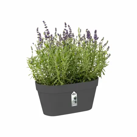 Elho loft urban green wall duo 28cm - afbeelding 3