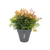 Elho loft urban rond 20cm antraciet - afbeelding 2