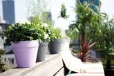 Elho loft urban rond 20cm antraciet - afbeelding 5