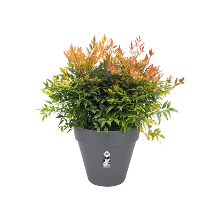 Elho loft urban rond 25cm antraciet - afbeelding 2