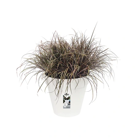 Elho loft urban rond 25cm wit - afbeelding 2