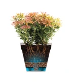 Elho loft urban rond 30cm antraciet - afbeelding 5
