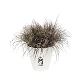 Elho loft urban rond wielen 40cm wit - afbeelding 2
