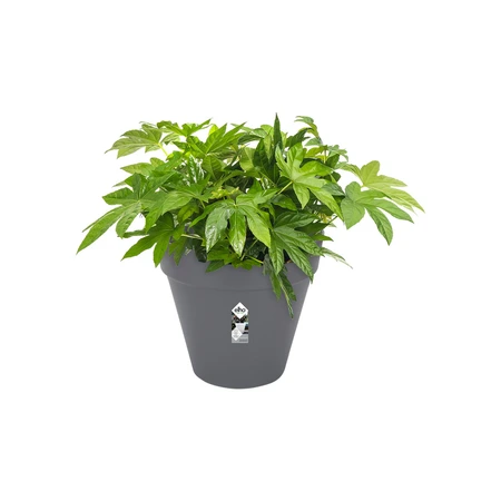 Elho loft urban rond wielen 50cm antraciet - afbeelding 2