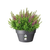 Elho loft urban schaal 35cm antraciet - afbeelding 7