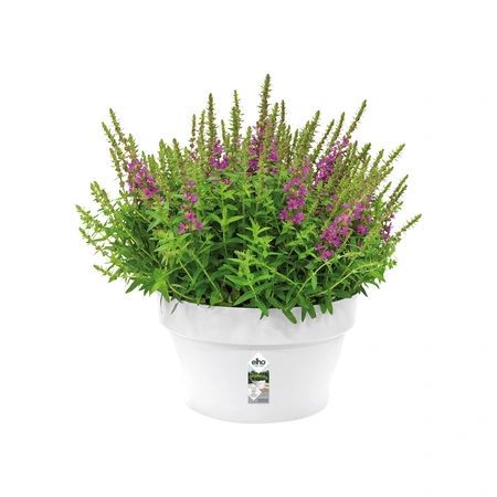 Elho loft urban schaal 35cm wit - afbeelding 7