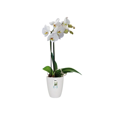 Elho Orchideepot Brussels High - D12,5cm Wit - afbeelding 4