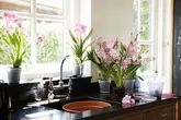 Elho Orchideeschotel Green Basics - D14cm Transparant - afbeelding 2