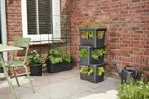 Elho Plantenbak Green Basics Stack & Grow Large zwart - afbeelding 4