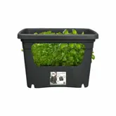 Elho Plantenbak Green Basics Stack & Grow Large zwart - afbeelding 3