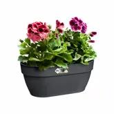 Elho Plantenbak Vibia Campana Wall Basket 35cm grijs - afbeelding 3