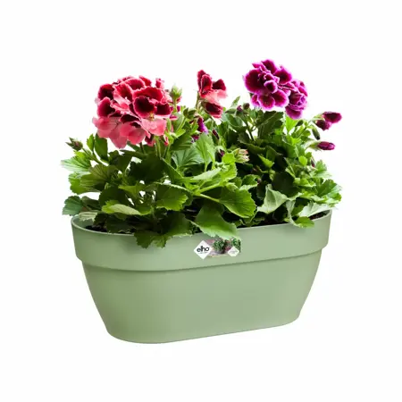 Elho Plantenbak Vibia Campana Wall Basket 35cm groen - afbeelding 3