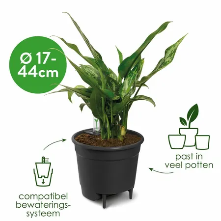 Elho self-watering insert 36cm living black - afbeelding 3