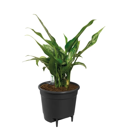 Elho self-watering insert 36cm living black - afbeelding 2