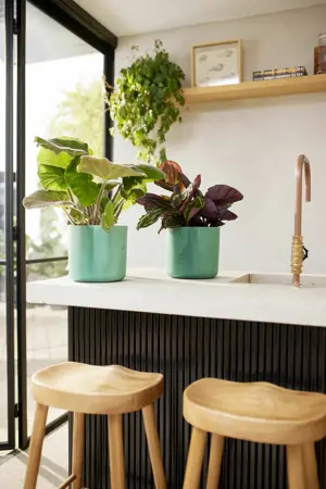 Elho The Ocean Collection Round 14 cm Groen - afbeelding 5