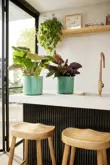 Elho The Ocean Collection Round 14 cm Groen - afbeelding 5