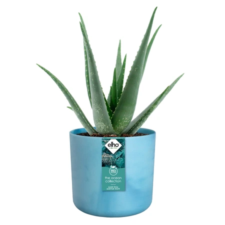 Elho the ocean collection round 18cm atlantisch blauw - afbeelding 2