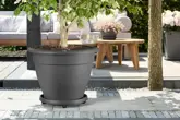 Elho universele planttaxi 35cm - afbeelding 2