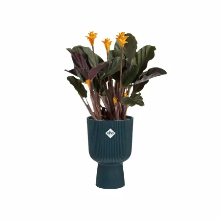 Elho Bloempot Vibes Fold Coupe 14cm blauw - afbeelding 2