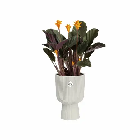 Elho Bloempot Vibes Fold Coupe 14cm wit - afbeelding 3