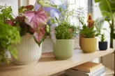 Elho Vibes Fold Rond 18 cm Groen - afbeelding 4