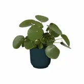 Elho vibes fold rond 18cm - afbeelding 3