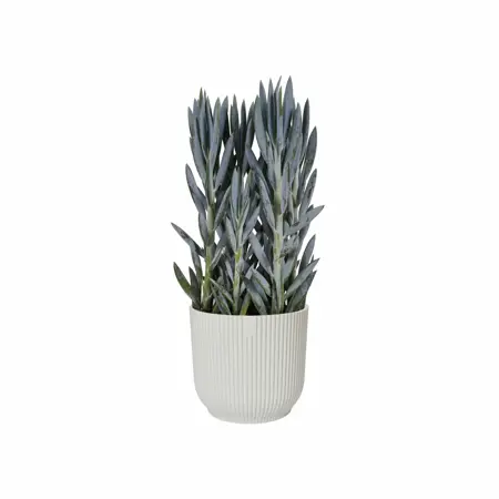 Elho Bloempot Vibes Fold rond 25cm wit - afbeelding 3